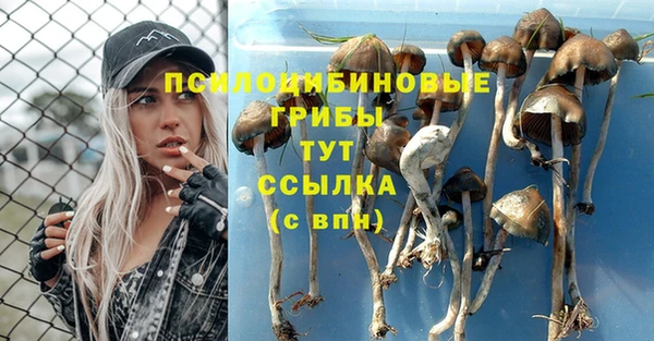 героин Горняк