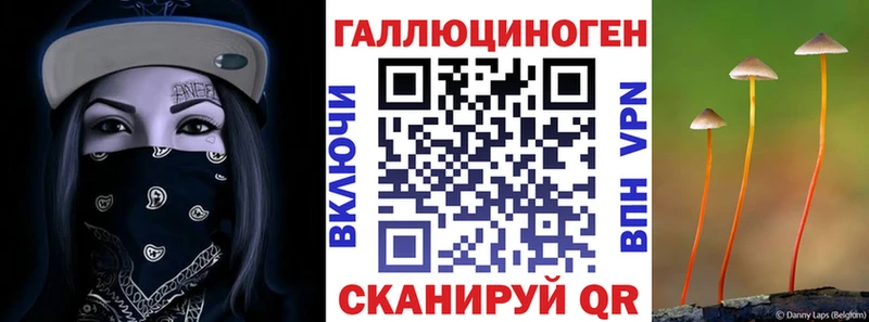 Купить закладки  Череповец  Псилоцибиновые грибы Psilocybine cubensis 